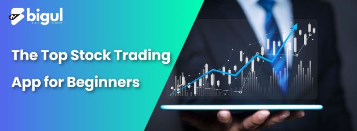 Public app trading stocks live audio