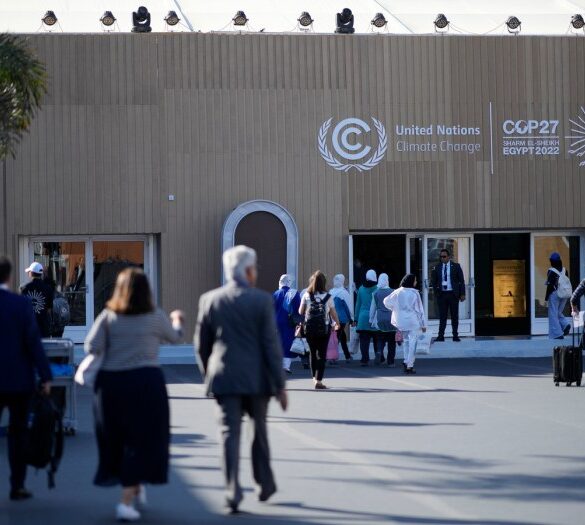 Cop27 united nations climate change conference egypt