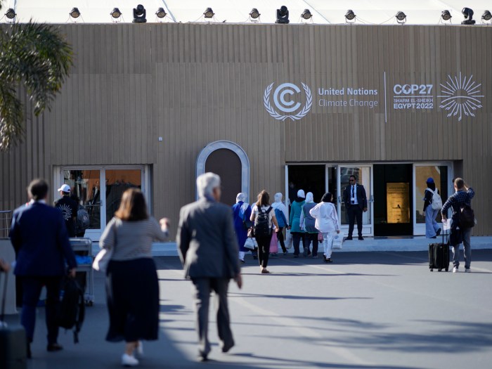 Cop27 united nations climate change conference egypt