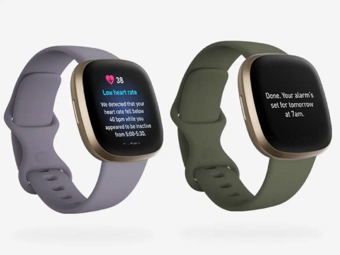 Can you use fitbit features on other wear os 3 smartwatches