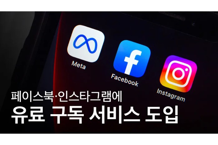 Instagram paid subscriptions test