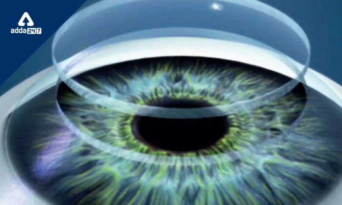 Cornea transplants 3d printing human cells eyes science
