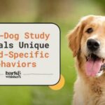 Dog breed behavior genetics study stereotypes