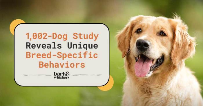 Dog breed behavior genetics study stereotypes