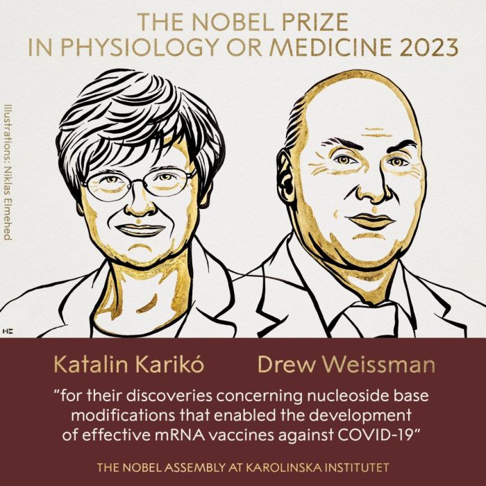Nobel prize physiology medicine covid vaccines katalin kariko drew weissman