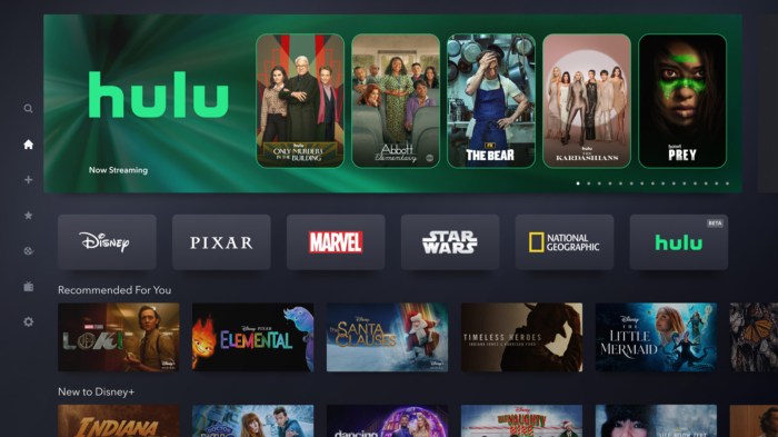 Disney plus ads hbo max hulu streaming