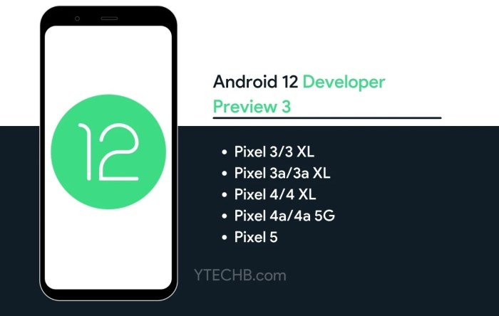 Did you install android 12 developer preview