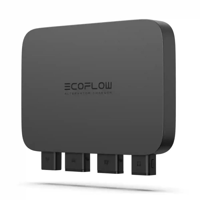 Ecoflow brings 800w of charging power to vanlife