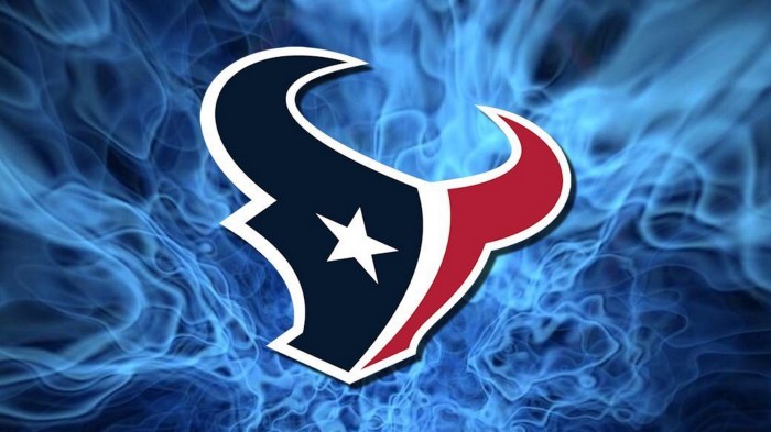 Houston texans nfl offset emissions carbon removal climate oil occidental