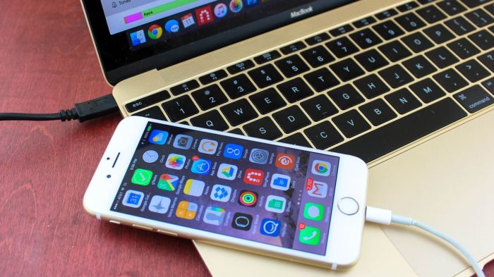 Apple news app crashing bug subscription launch ios mac