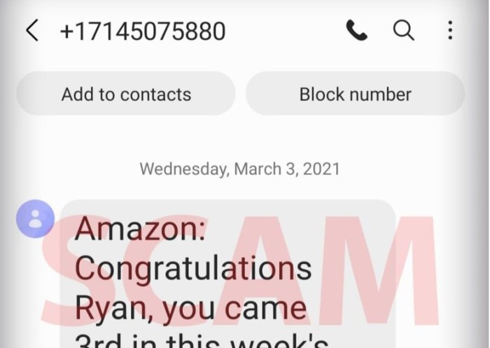 Amazon raffle scam lawsuit text messages
