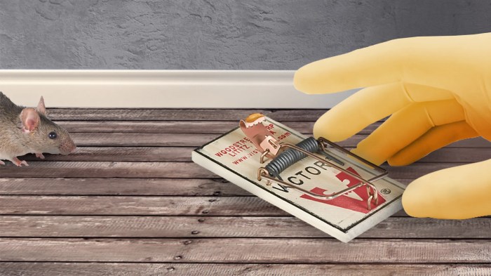 This giant mouse trap will kill someday