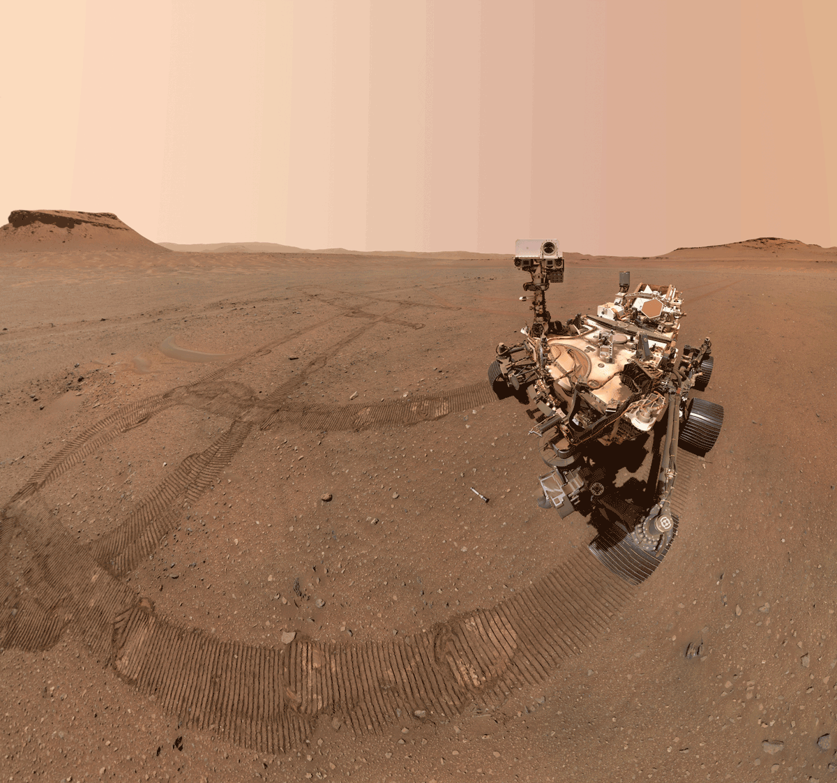 Certain life forms could have thrived on ancient mars scientists say