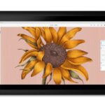 Adobe fresco windows painting pen app cloud sync photoshop subscription price