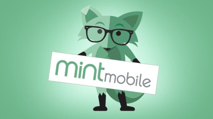 Mint mobiles black friday sale gets you 3 months of service for free
