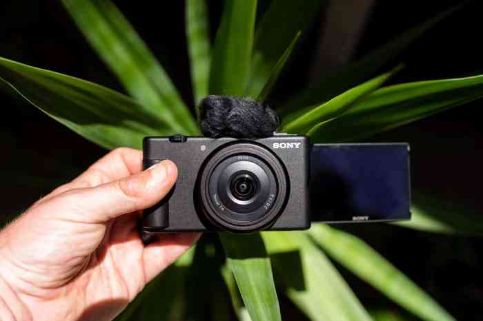 Sony digital camera chip shortage