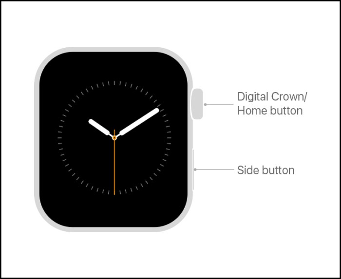 Apple watch honeycomb display list change how to