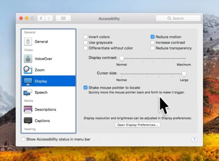 Settings accessibility mac security blog ios features vision Accessibility mac apple macos features how to