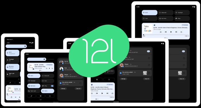 Android 12 and 12l have received their last official google security update