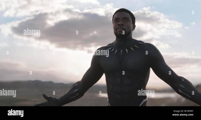 Black panther ryan coogler marvel box office 1 billion mark world wide