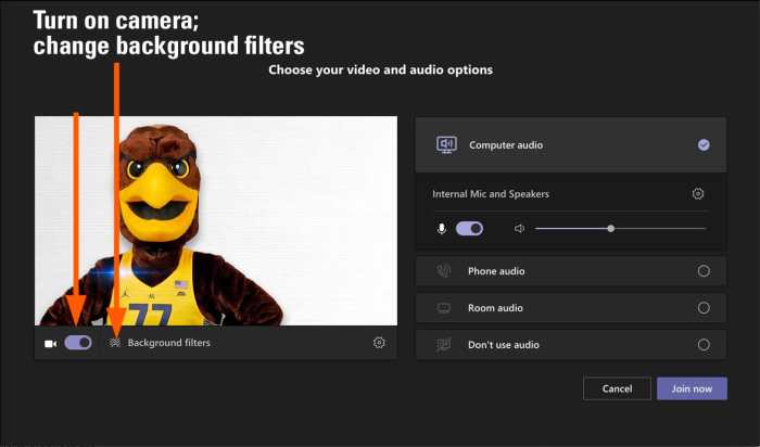 Webcam teams