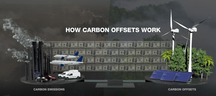 The us has new guidelines for carbon offsets