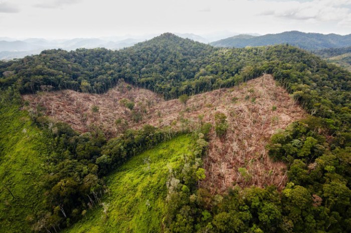 Monkey god city lost honduran discovered thousand rainforest years after techeblog The lost city of the monkey god interview honduras civilization