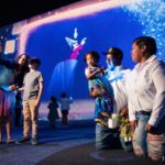 Disney hollywood studios immersive entertainment naming problem being there