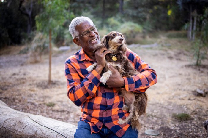 Dog breed behavior genetics study stereotypes