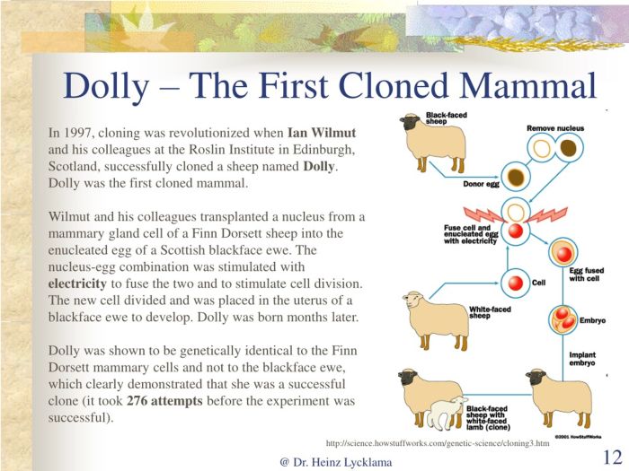 Orphan black human cloning dolly stem cells growing tail body modification bionic eye