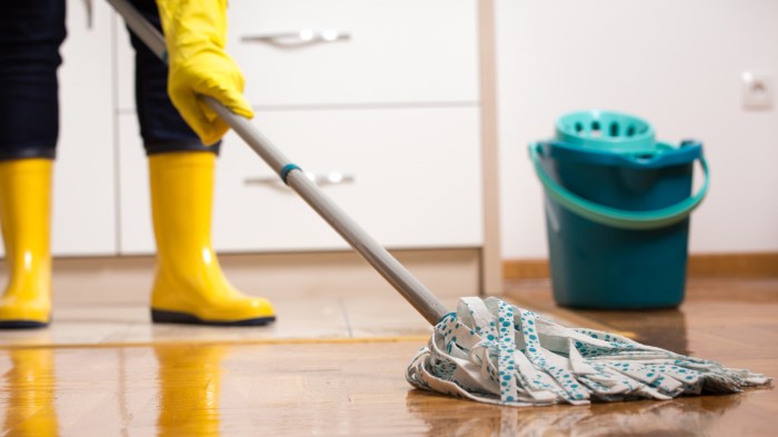 This powerful robot vacuum can also mop your floors for just 585