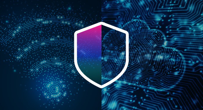 What is the difference between agent based and agentless security