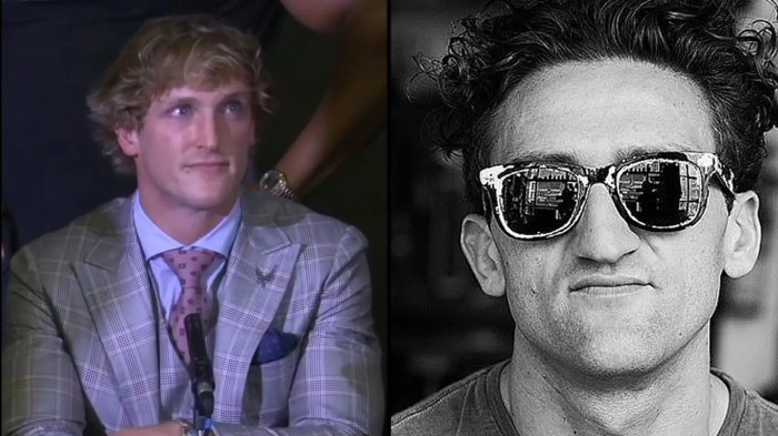 Twitch partner affiliate youtube ninja summit drdisrespect casey neistat logan paul