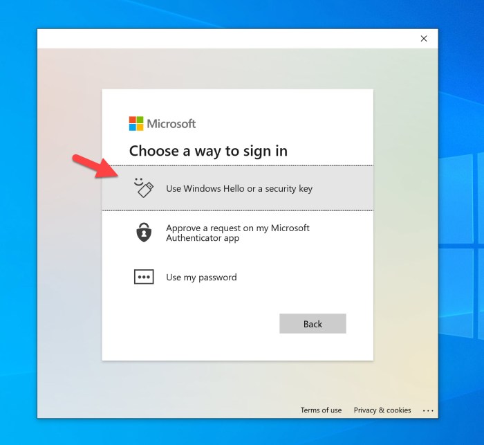 Minitool Microsoft account no password windows hello fido2 support