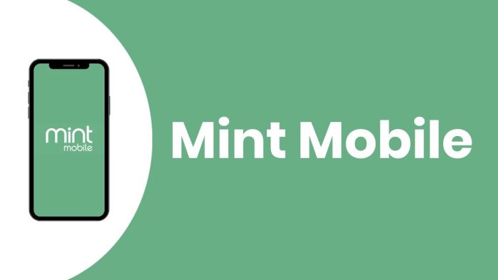 What network does mint mobile run
