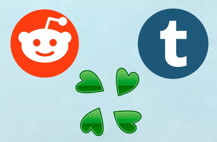 4chan reddit Bird with arms meme history tumblr reddit 4chan
