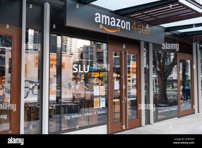 Amazon 4 star store gifts