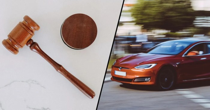 Tesla full self driving child crash open letter