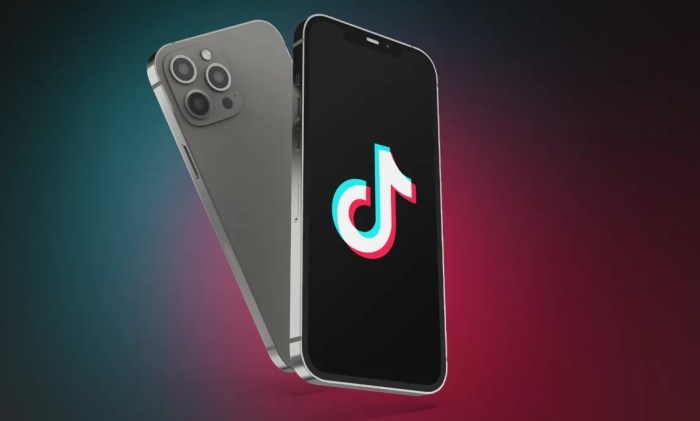 Tiktok ai chatbot tako test