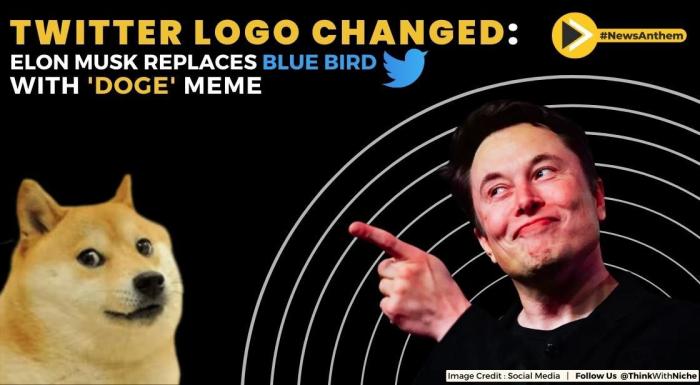 Twitter doge bird logo retweet labels following timeline
