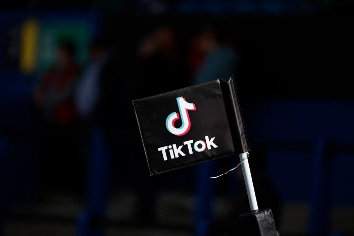 Tiktok ai chatbot tako test