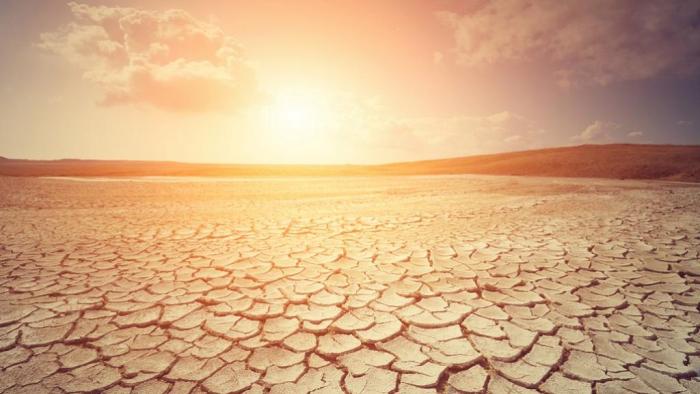 Climate change heat deaths study