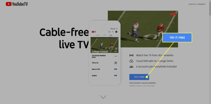 Vizio smartcast whattowatch