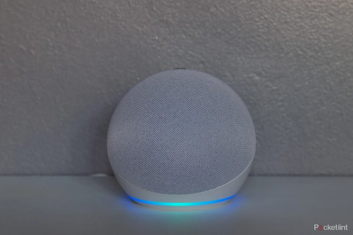 Beeping alexa Beeping alexa