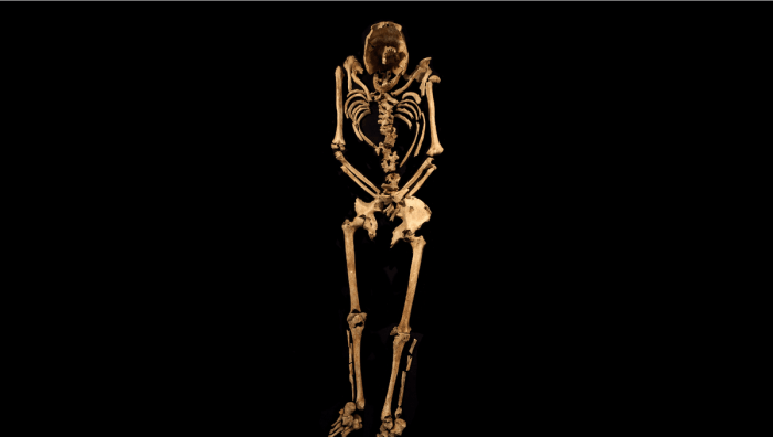 Skeleton with nail in heel offers evidence of roman crucifixion