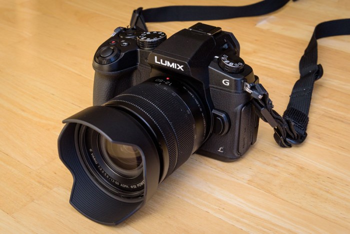 G85 panasonic Panasonic g85 lx10 and fz2500 in photos