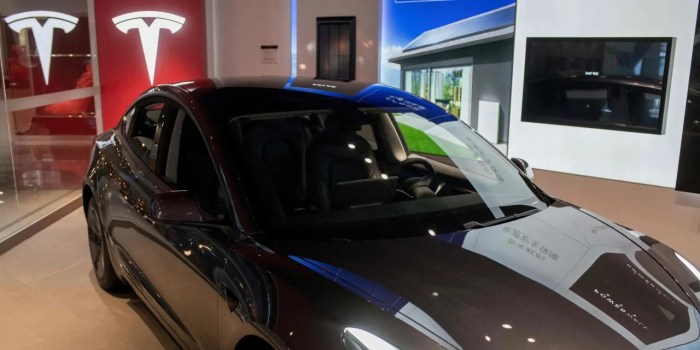 Musk elon chain supply tesla gigafactory opening grand Musk elon chain supply tesla gigafactory opening grand