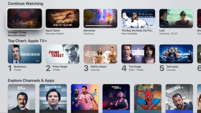 Netflix apple tv app support integration