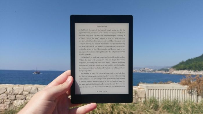 Kobo one aura review Kobos aura one large leak
