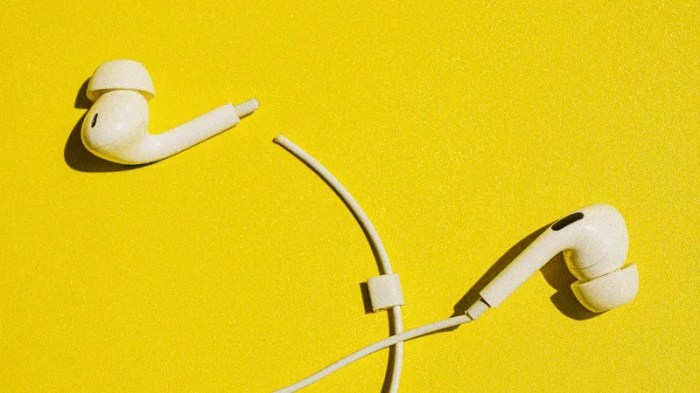 Ask jerry the difference between cheap and expensive earbuds